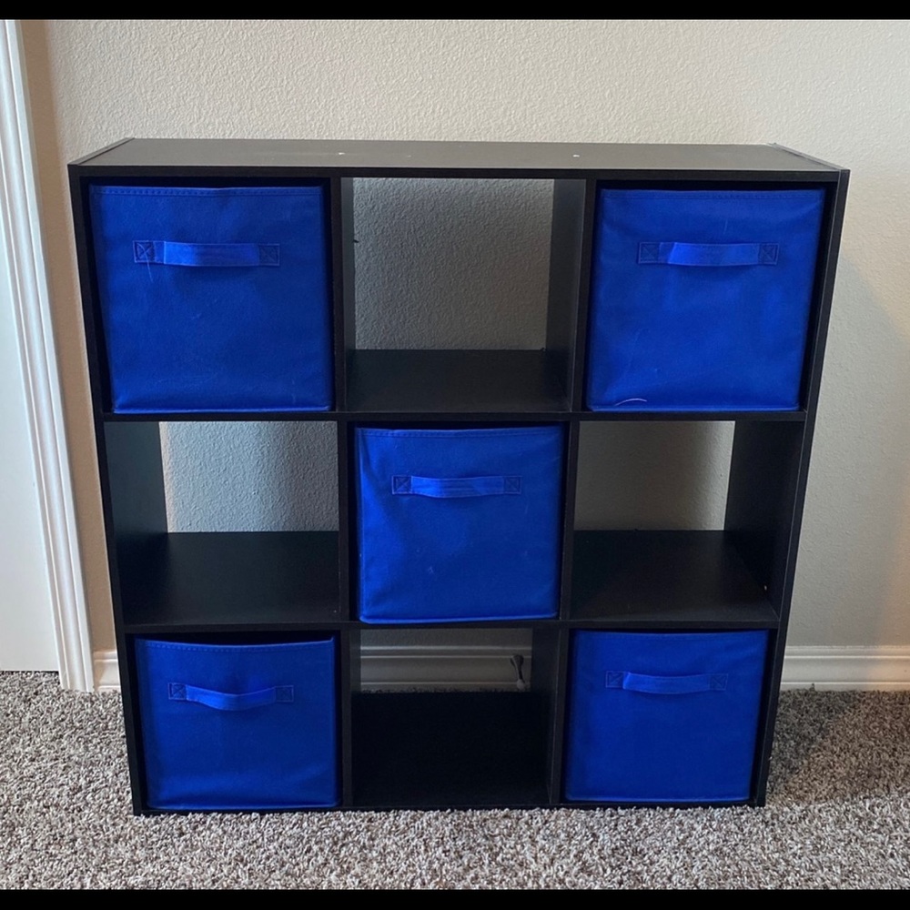 Bin Storage/Organizer with shelves